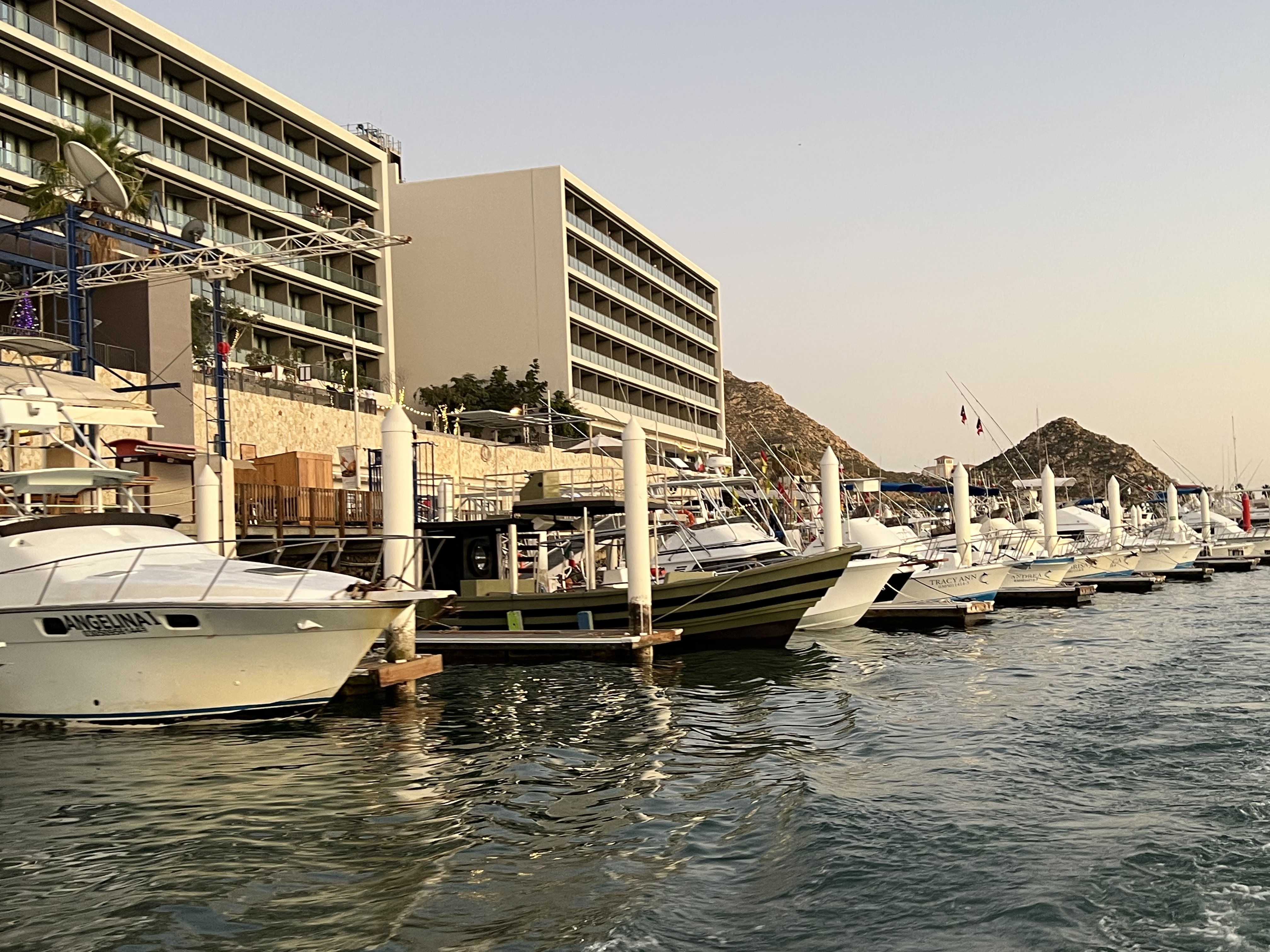 ./2024/13 - Cabo/IMG_4842.jpg